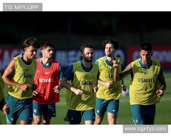 巴西与法国历史交锋记录分析及比赛精彩瞬间回顾