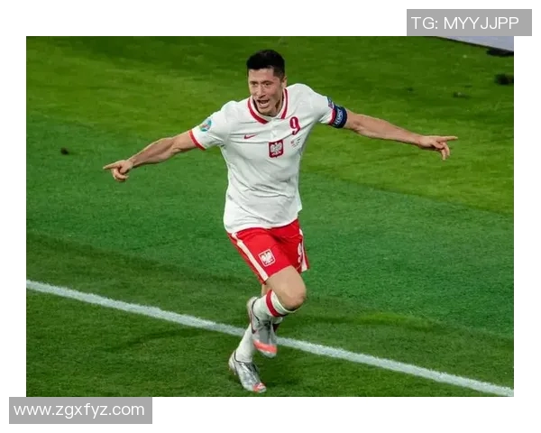 波兰对捷克精彩比赛视频回放与分析全攻略