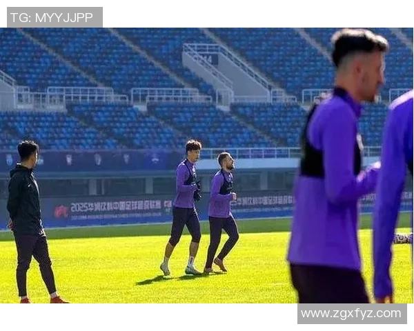 申花与辽宁开新激战在即球迷期待精彩对决与精彩进球