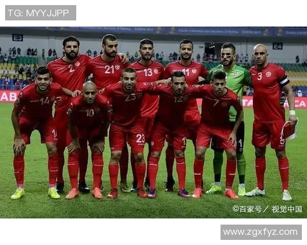 加纳与突尼斯竞彩分析及赛前预测全面解读