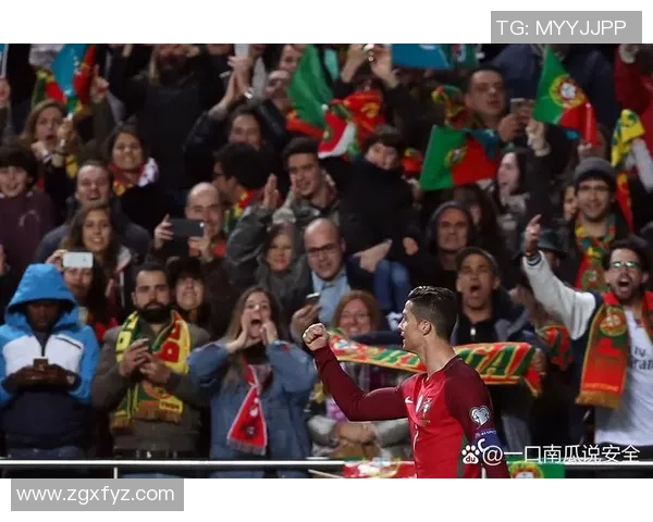 2010年世界杯经典对决回顾葡萄牙与法国的激烈较量与精彩瞬间